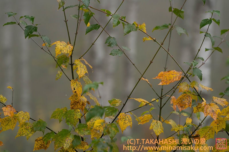 ../Images/7R251019 (120).jpg